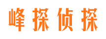 相城市调查公司